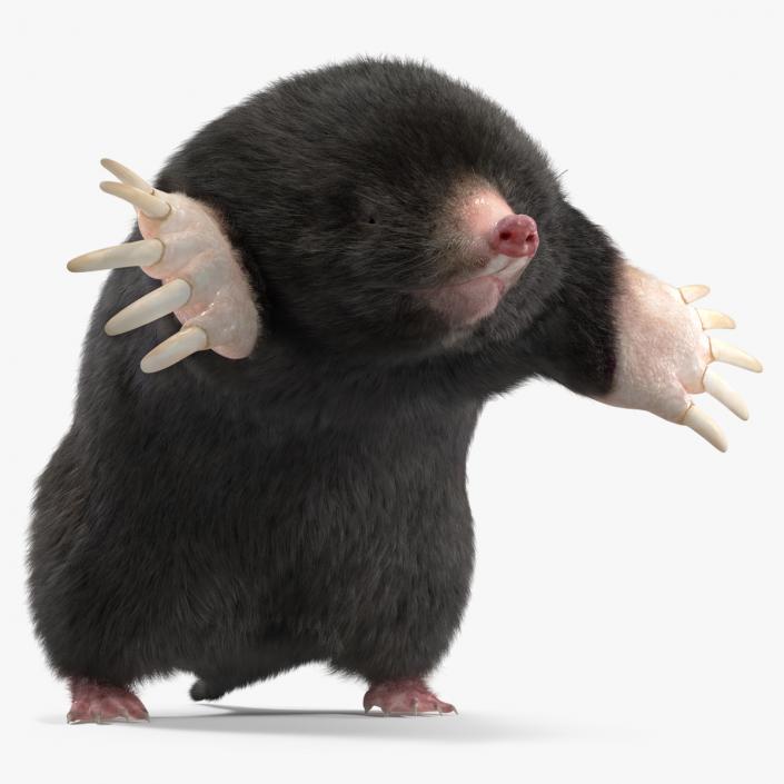 3D model Burrowing Mole Fur 2