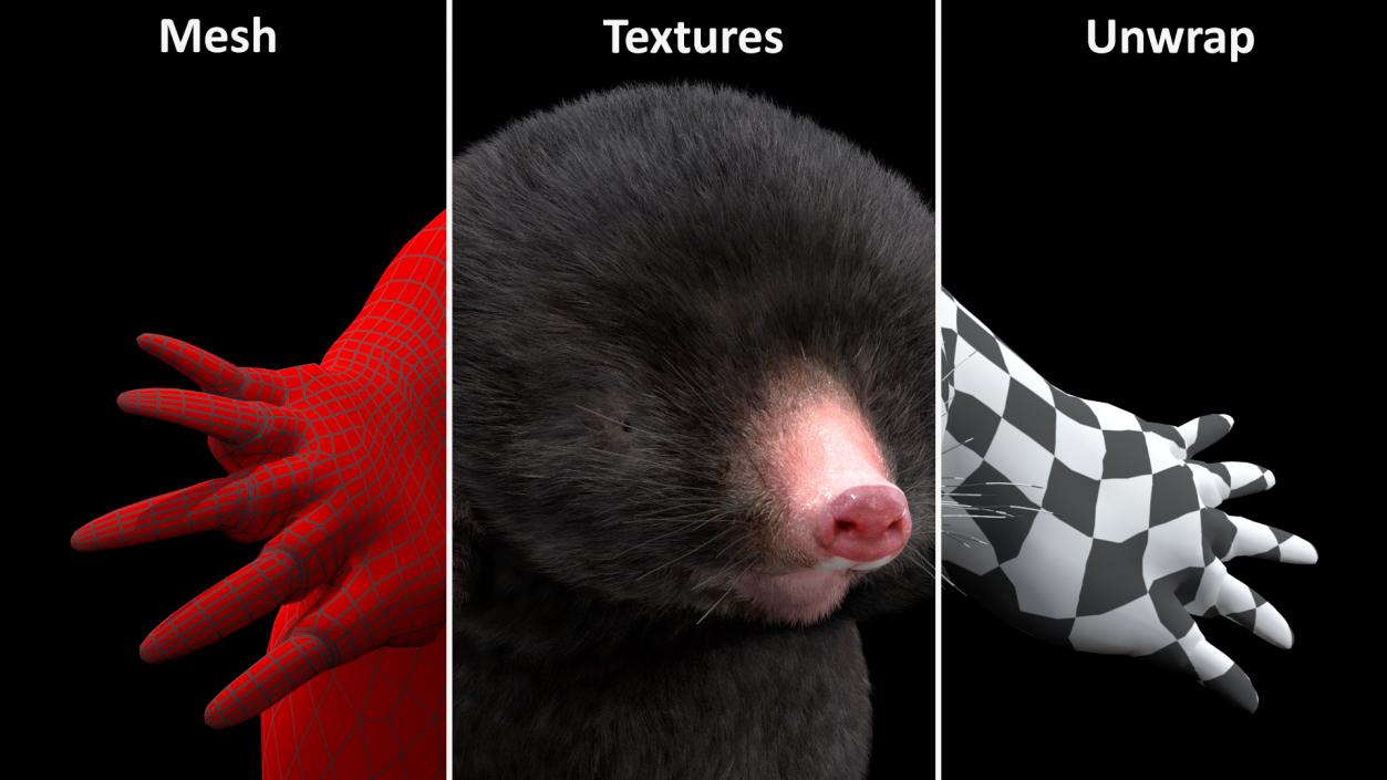 3D model Burrowing Mole Fur 2