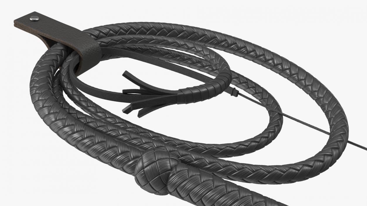 3D model Cowboy Black Whip with Holster