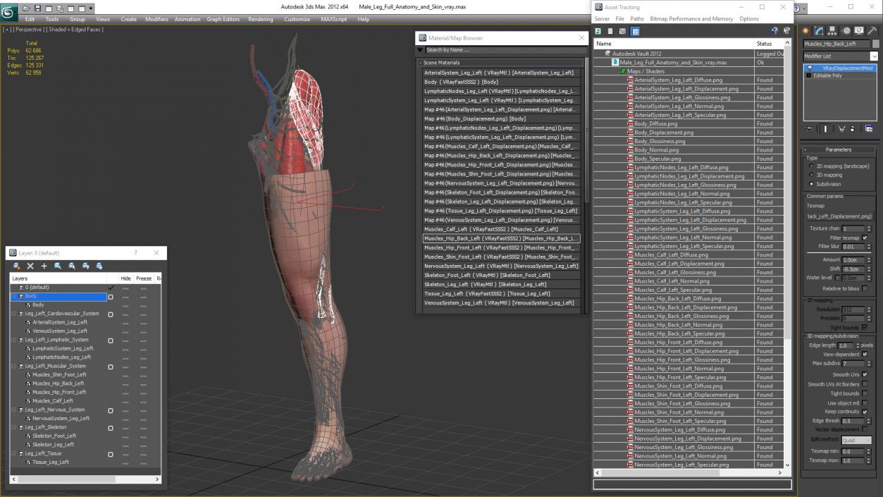 3D model Male Leg Full Anatomy and Skin