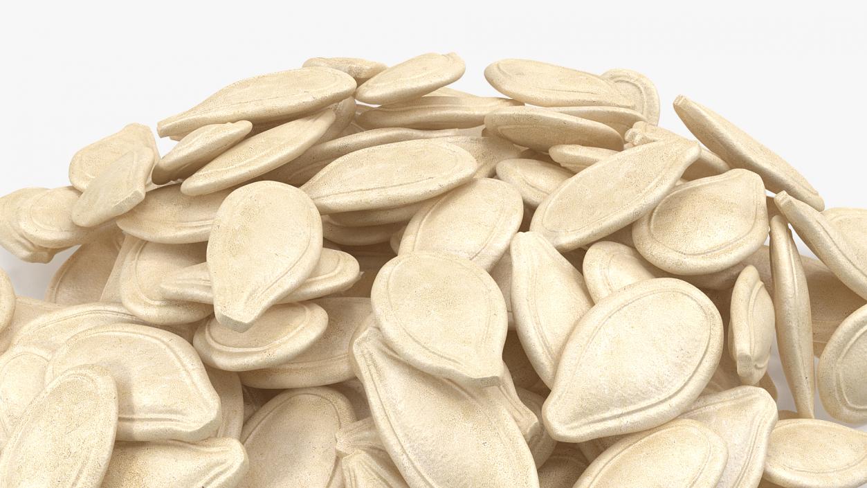 Pumpkin Seeds in Shell 3D