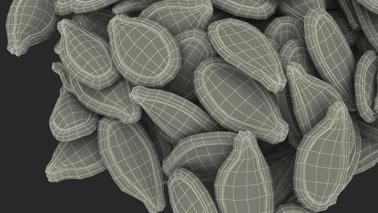 Pumpkin Seeds in Shell 3D