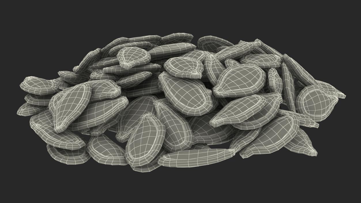 Pumpkin Seeds in Shell 3D