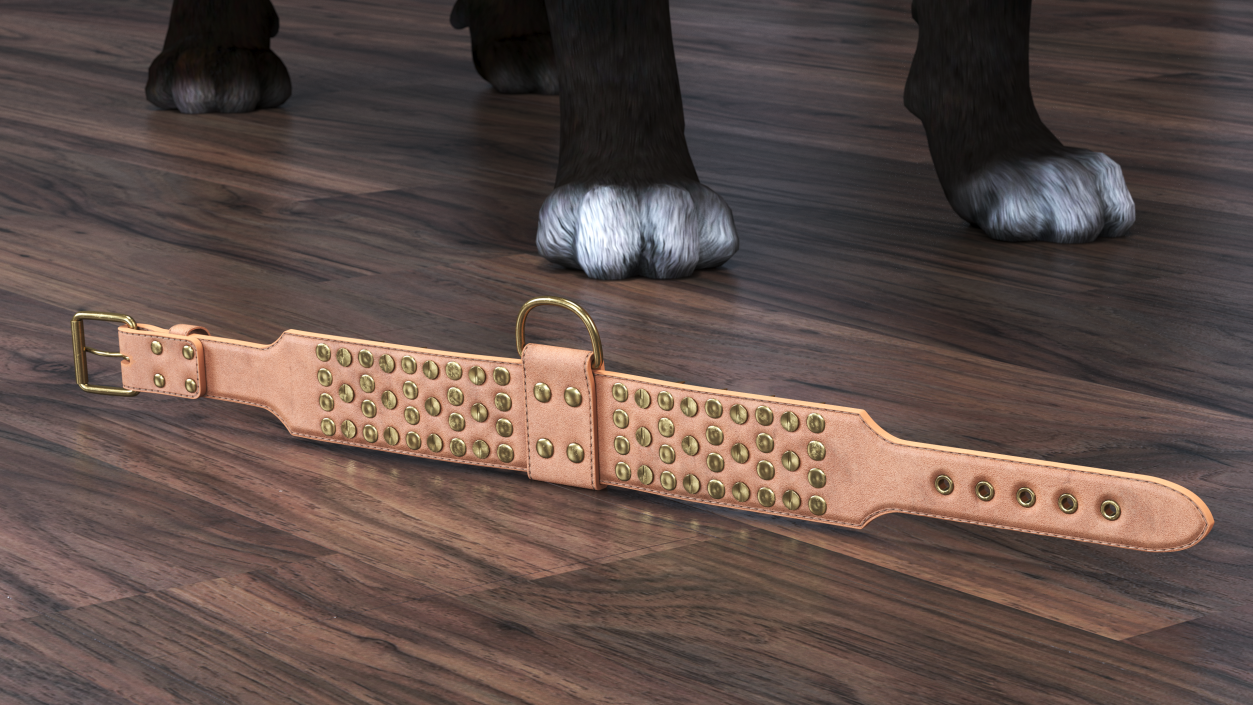 Studded Dog Collar Lying 3D model