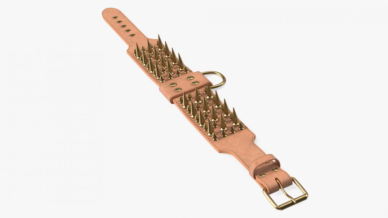 Studded Dog Collar Lying 3D model