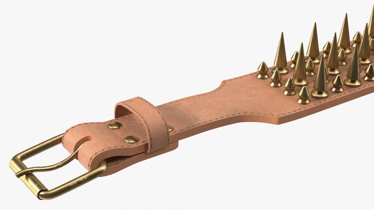 Studded Dog Collar Lying 3D model