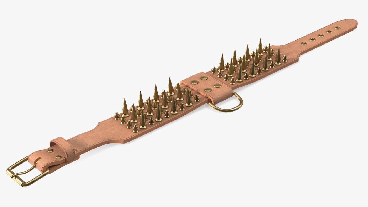 Studded Dog Collar Lying 3D model