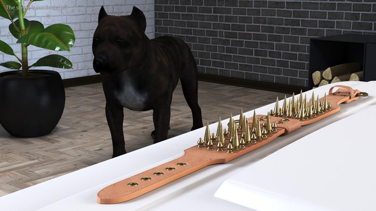 Studded Dog Collar Lying 3D model