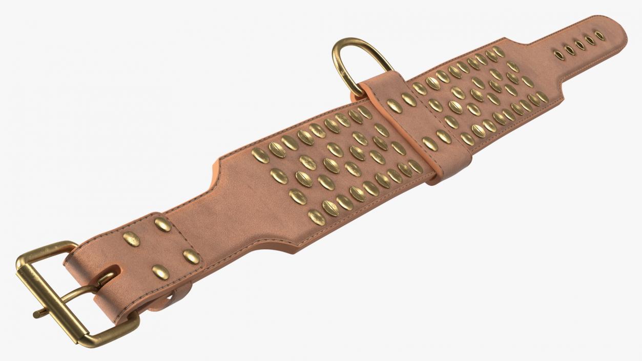 Studded Dog Collar Lying 3D model