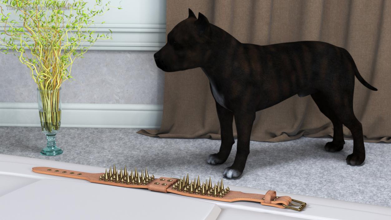 Studded Dog Collar Lying 3D model