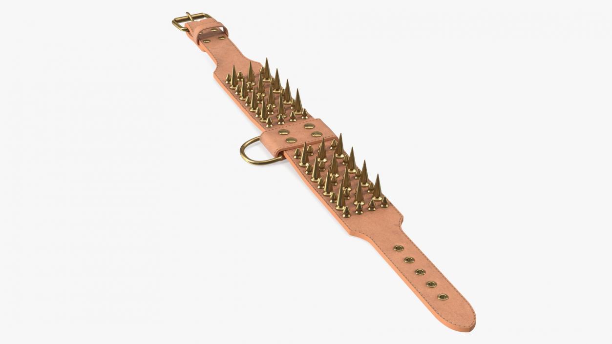 Studded Dog Collar Lying 3D model