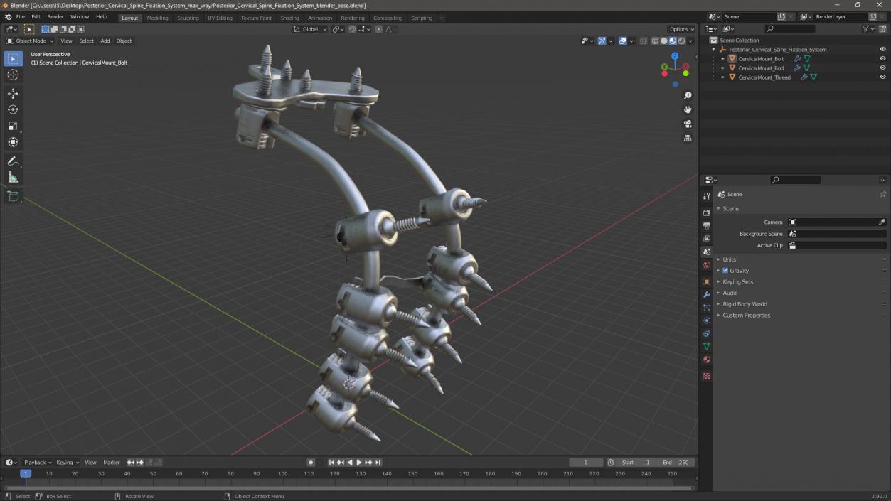 3D model Posterior Cervical Spine Fixation System