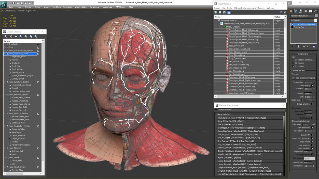 3D Anatomical Male Head Model with Neck