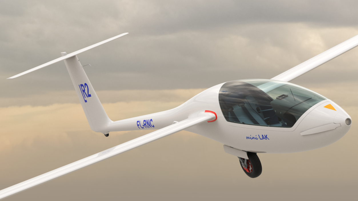 3D Electric Glider MiniLAK model