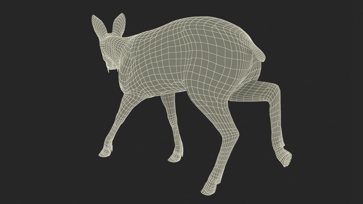 3D Grazing Musk Deer Fur