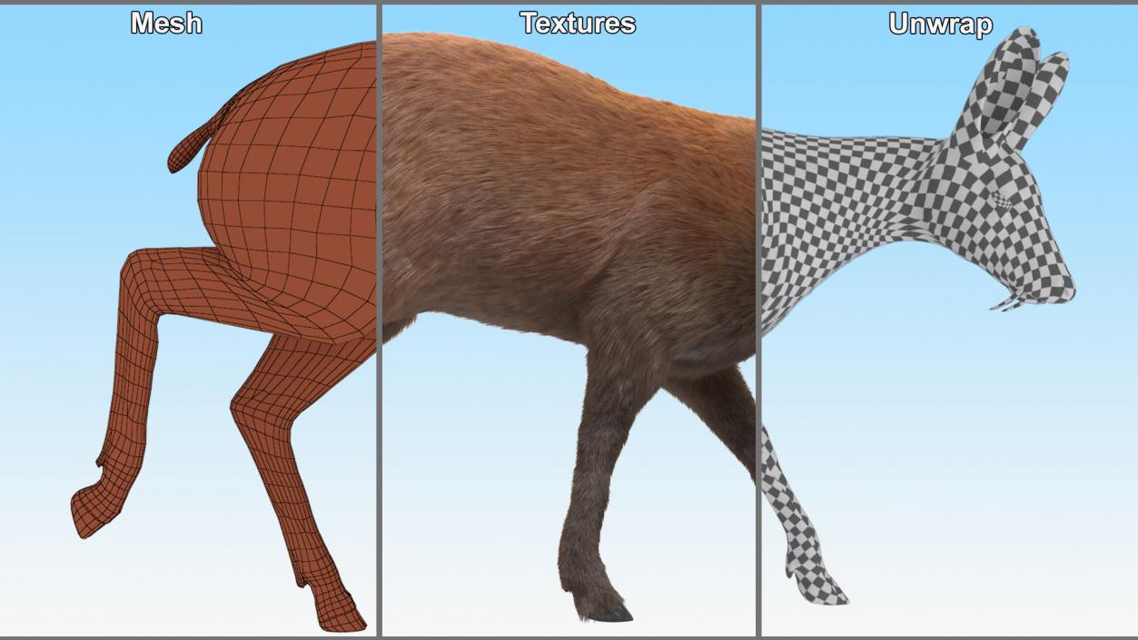 3D Grazing Musk Deer Fur