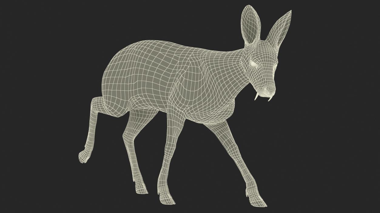 3D Grazing Musk Deer Fur