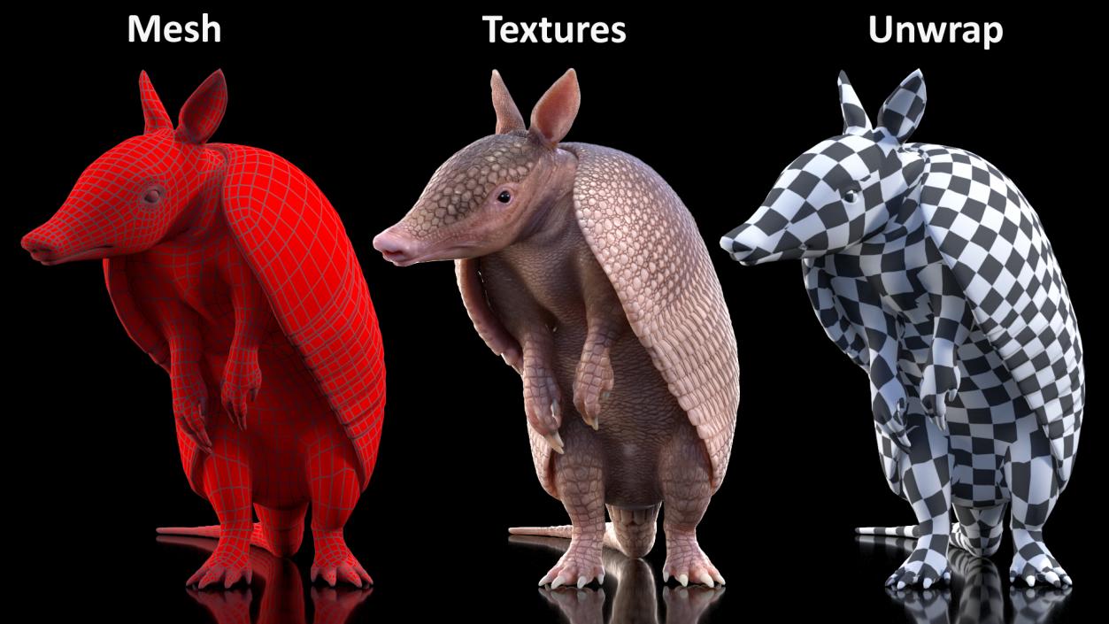 Armadillo in Hind Legs Pose Pink 3D