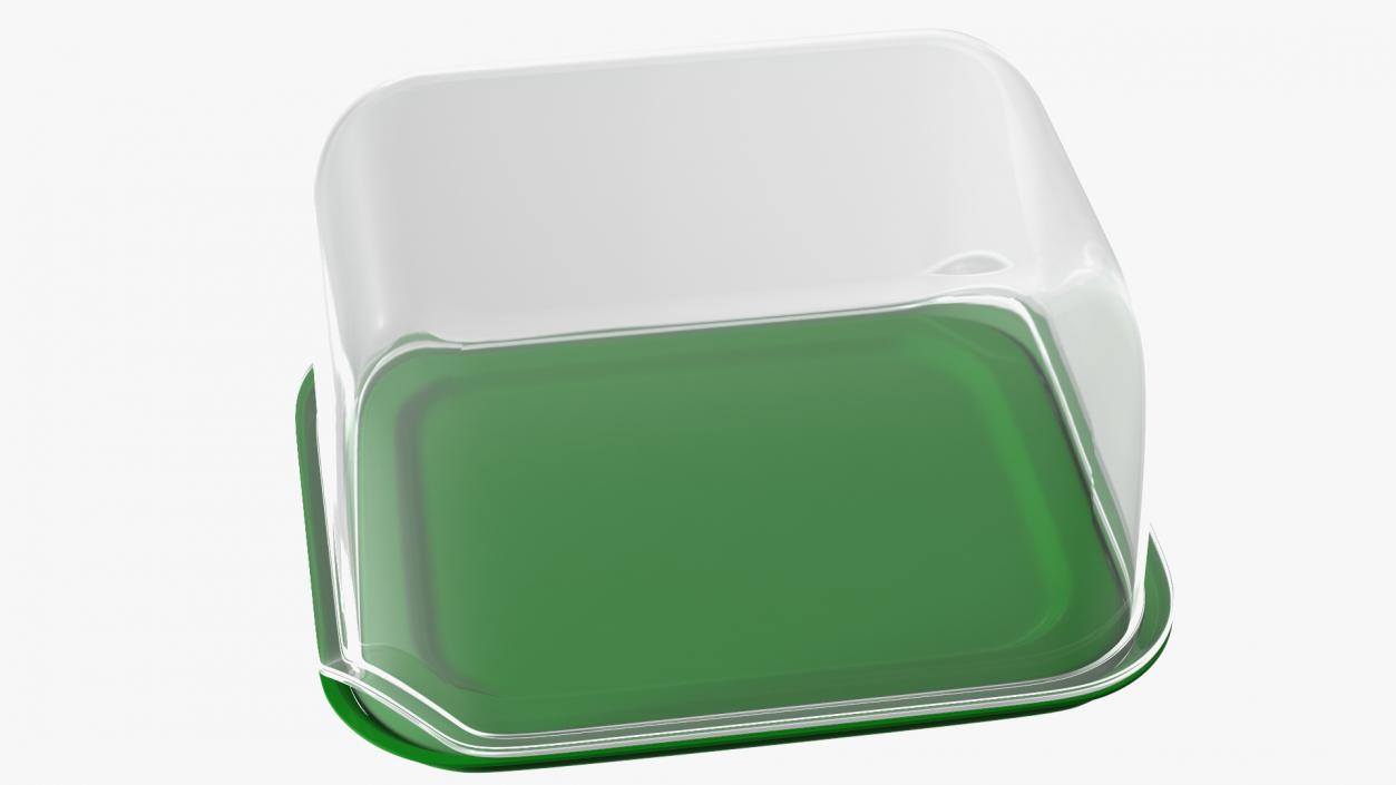 3D Transparent Rectangular Plastic Food Container