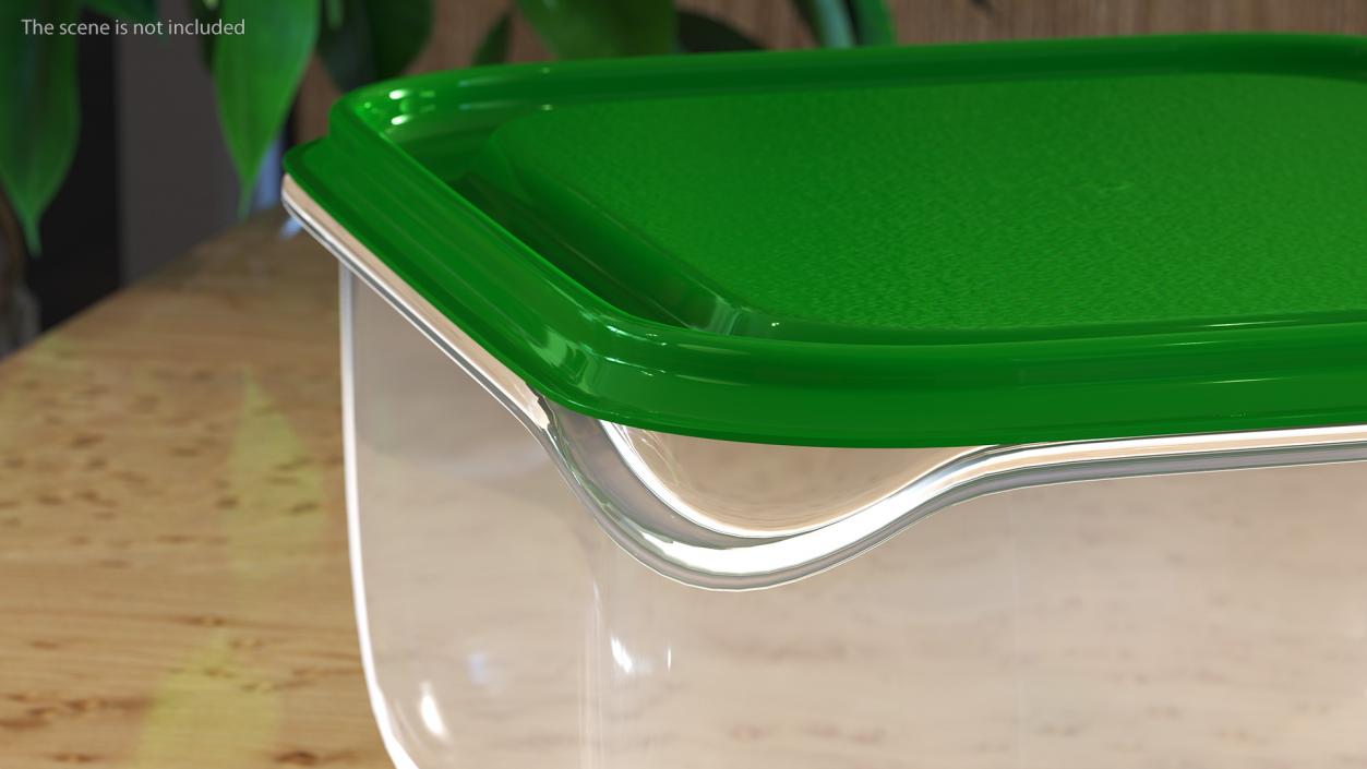 3D Transparent Rectangular Plastic Food Container