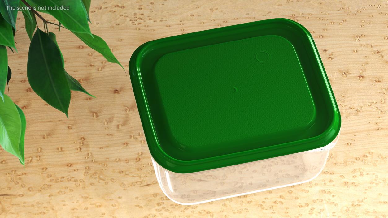 3D Transparent Rectangular Plastic Food Container