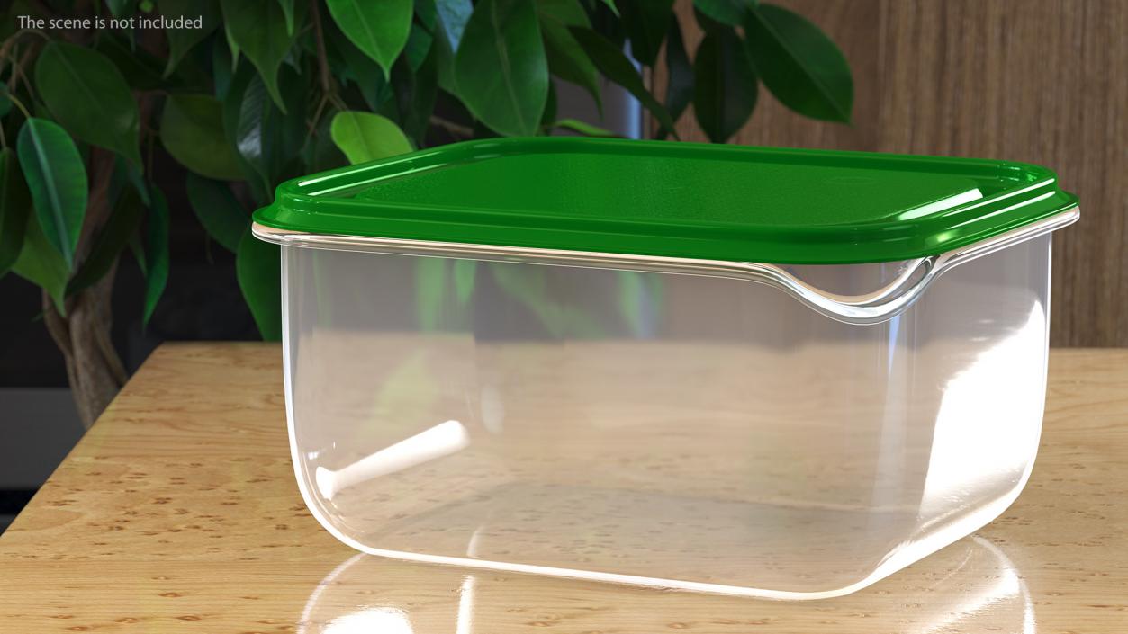 3D Transparent Rectangular Plastic Food Container