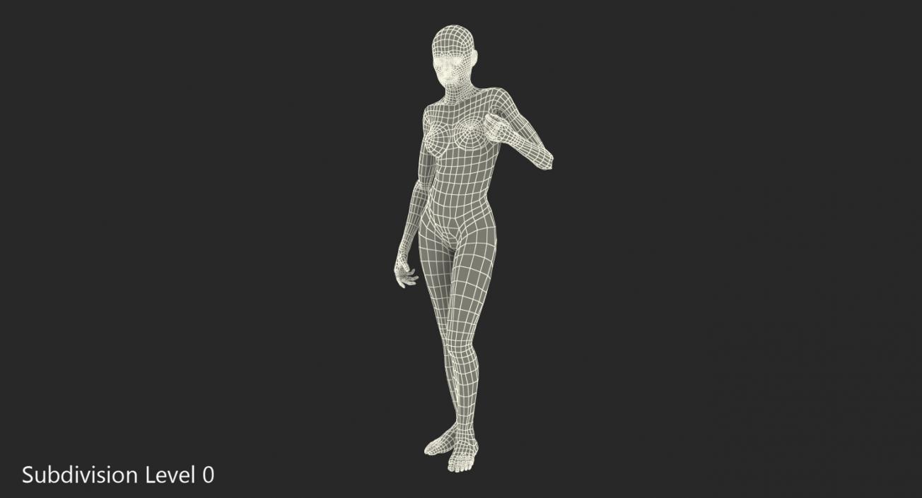 3D Female Human Muscles Anatomy model