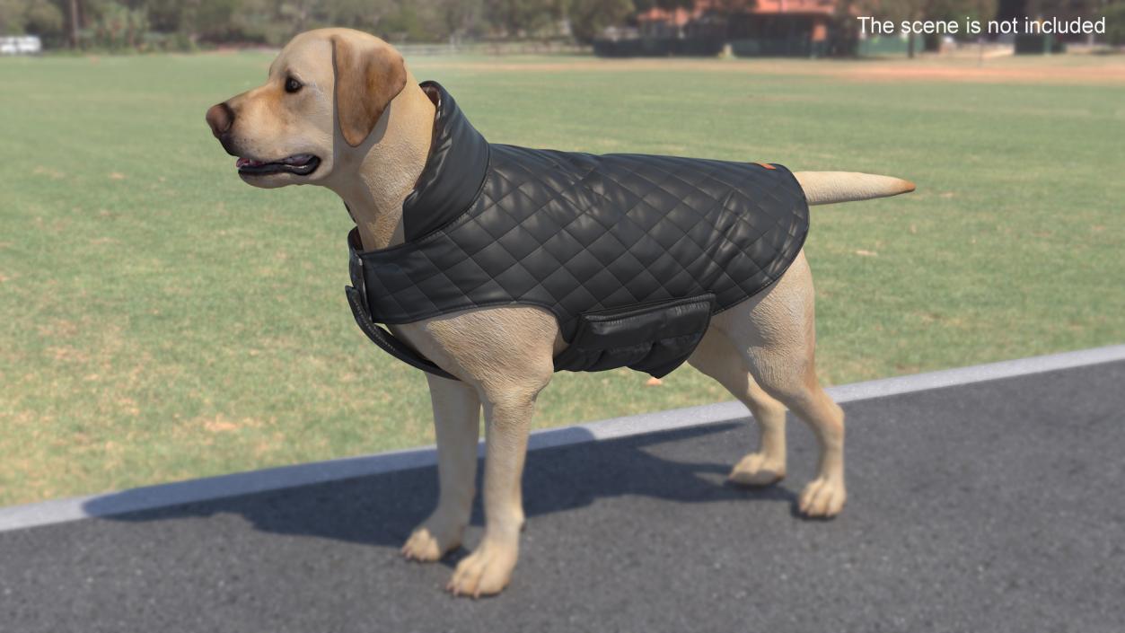 Dog Coat Black 3D model