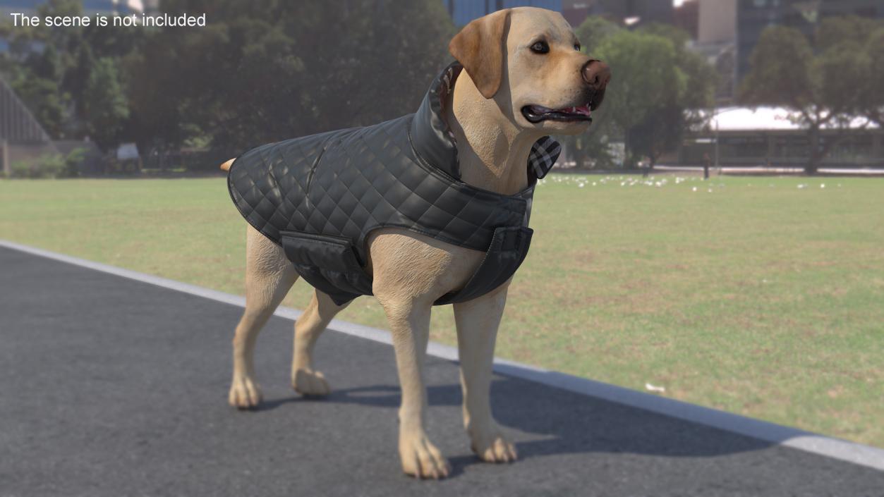 Dog Coat Black 3D model