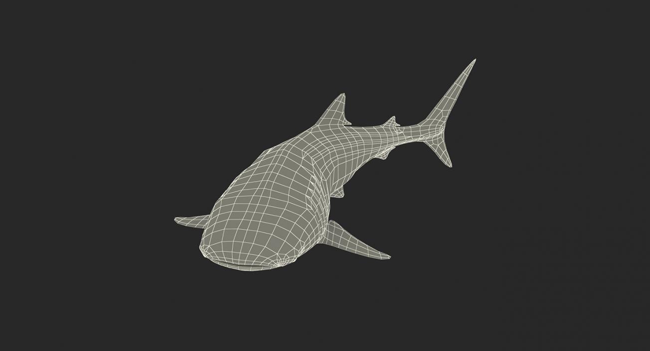 Fishes Collection 5 3D model