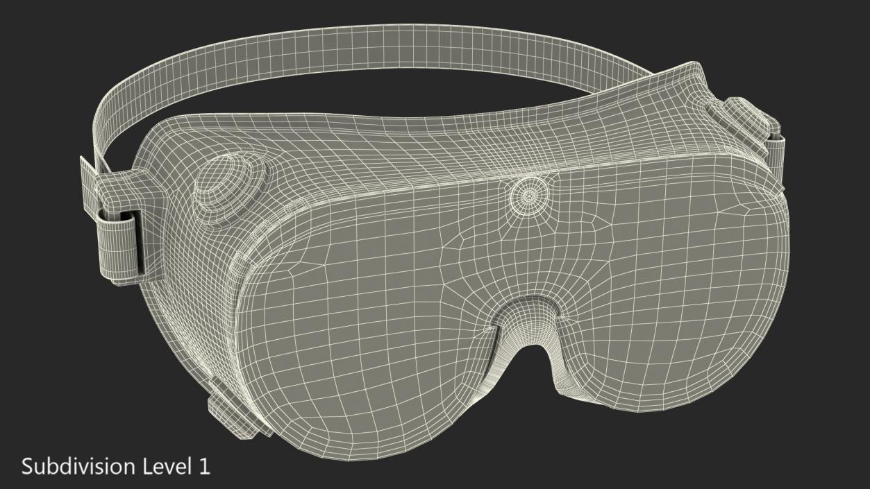 3D Lab Safety Goggles model