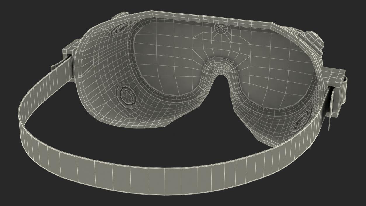 3D Lab Safety Goggles model