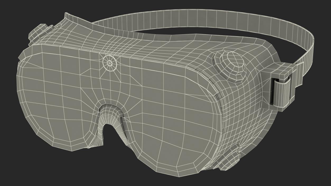 3D Lab Safety Goggles model