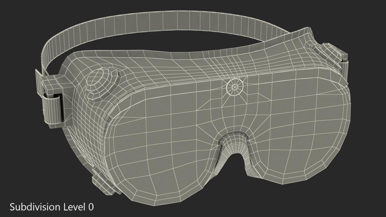 3D Lab Safety Goggles model