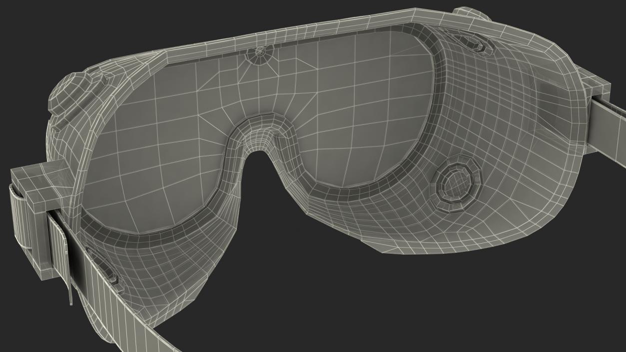 3D Lab Safety Goggles model