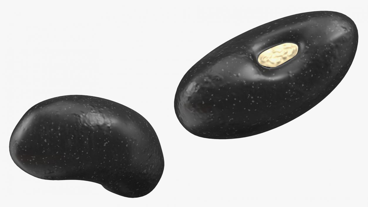 Black Turtle Beans in Wooden Spoon 3D model