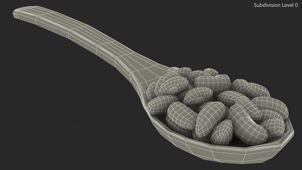 Black Turtle Beans in Wooden Spoon 3D model