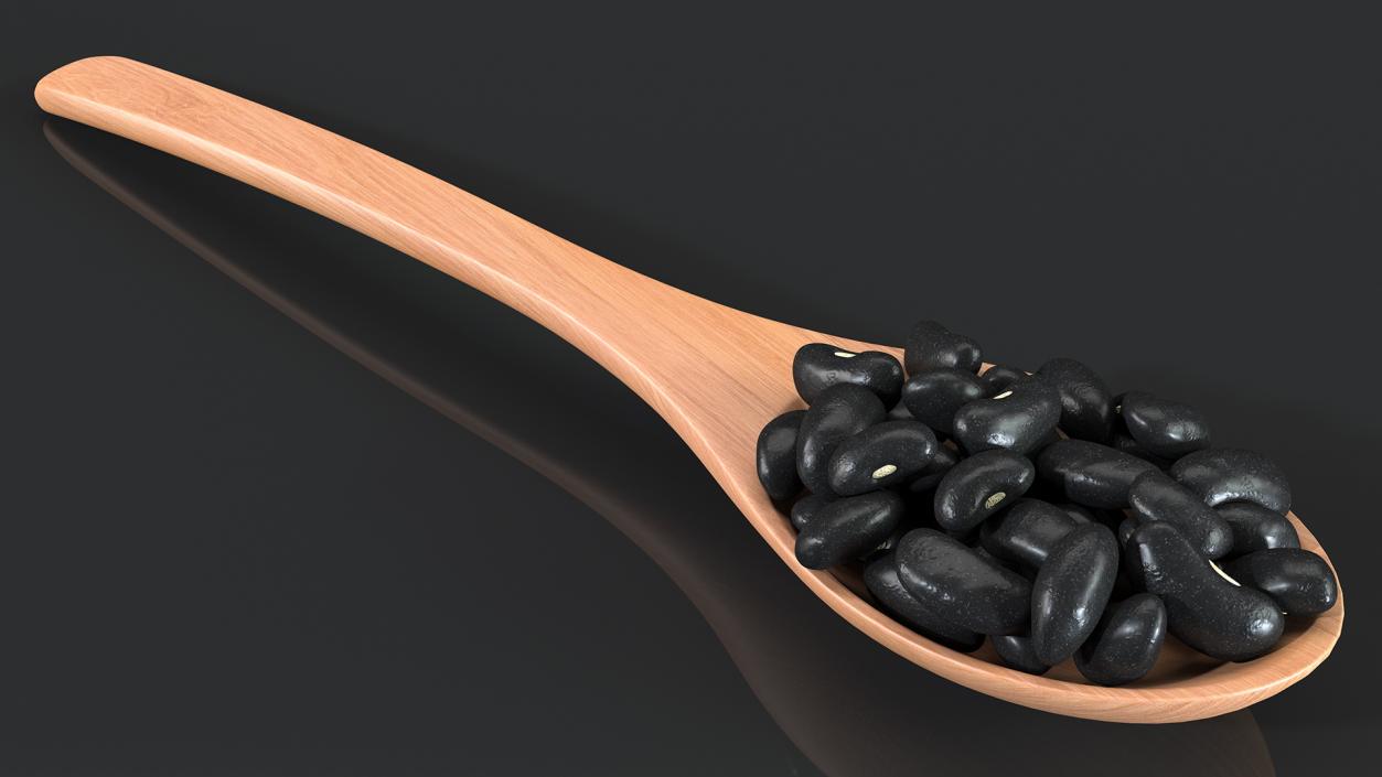 Black Turtle Beans in Wooden Spoon 3D model