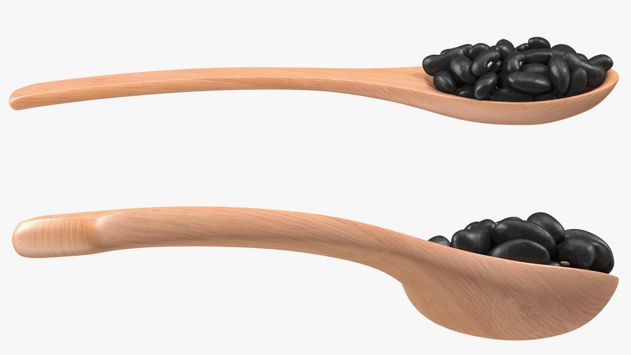 Black Turtle Beans in Wooden Spoon 3D model