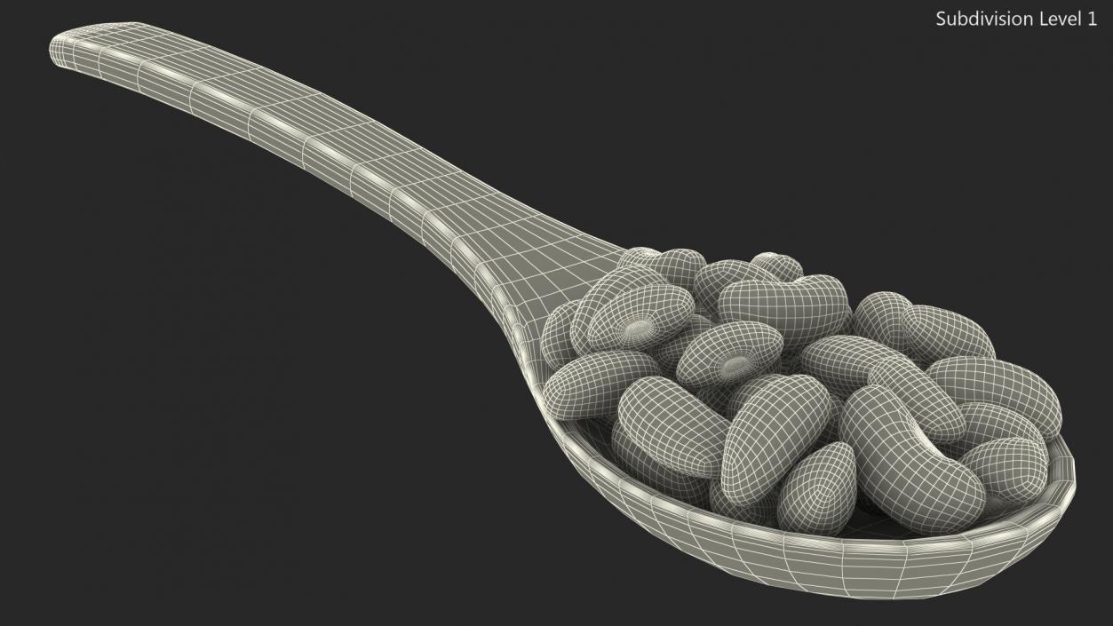 Black Turtle Beans in Wooden Spoon 3D model