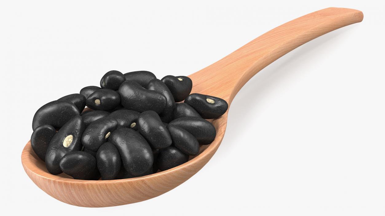 Black Turtle Beans in Wooden Spoon 3D model