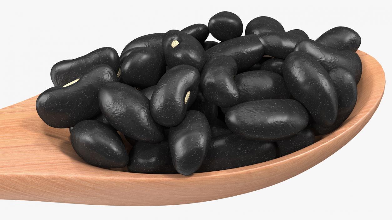 Black Turtle Beans in Wooden Spoon 3D model