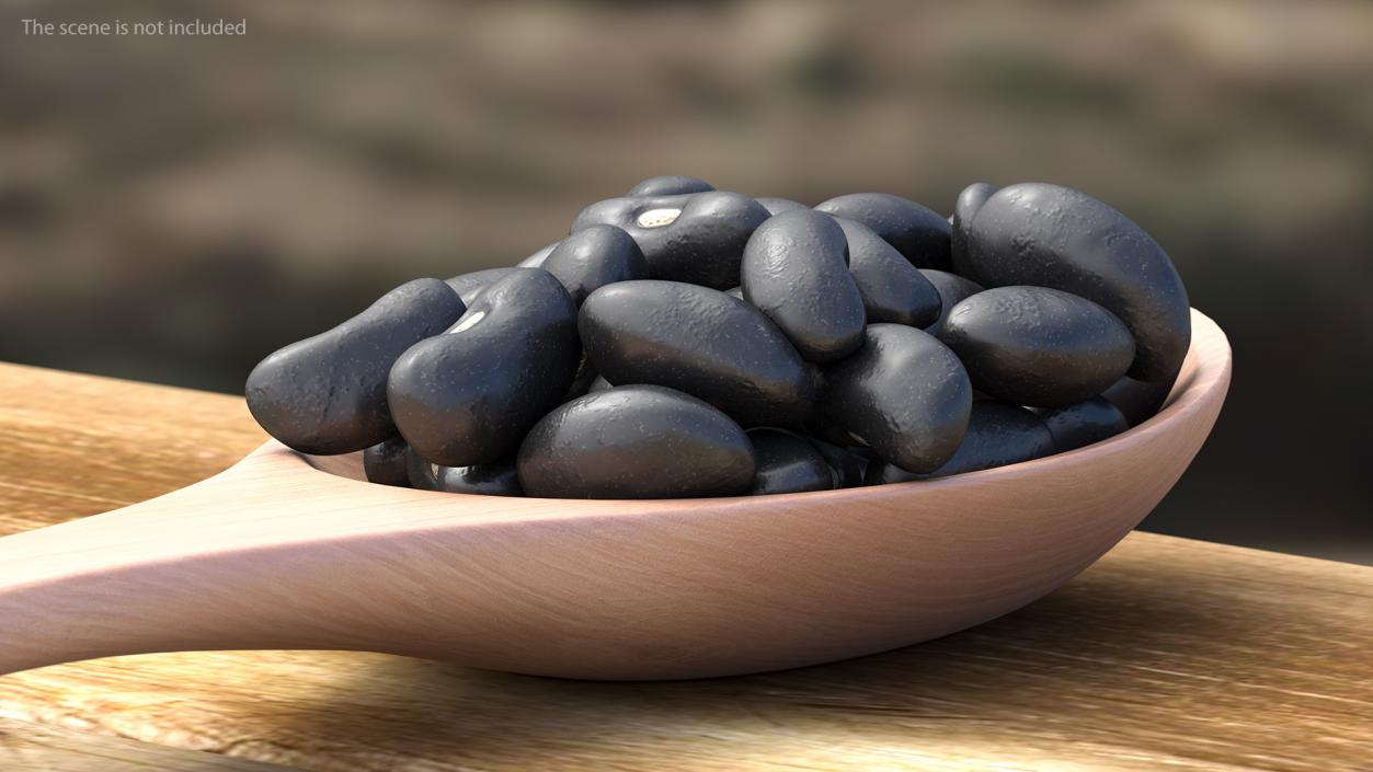 Black Turtle Beans in Wooden Spoon 3D model