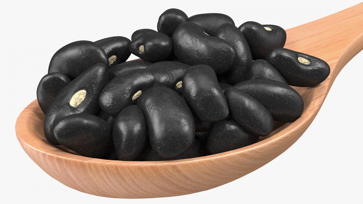 Black Turtle Beans in Wooden Spoon 3D model