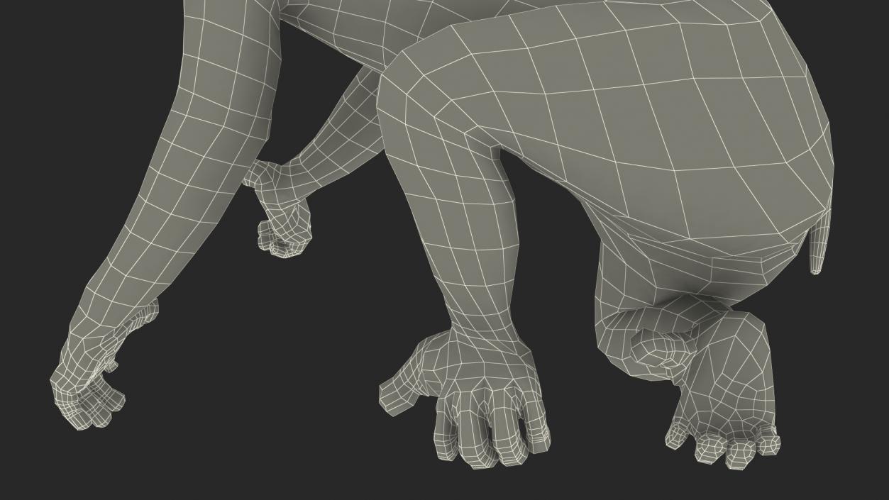 3D Nycticebus Bengalensis Fur