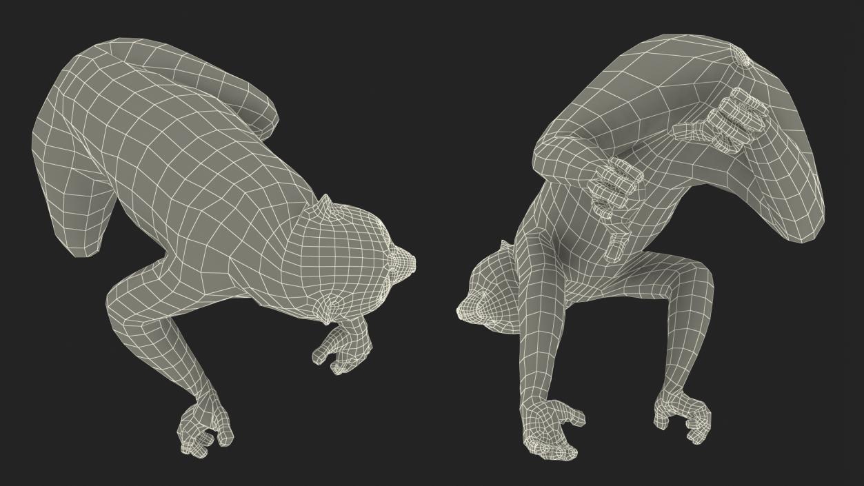 3D Nycticebus Bengalensis Fur