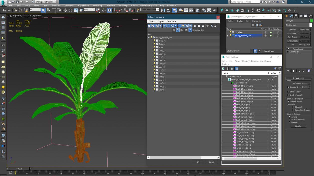 Young Banana Tree 3D