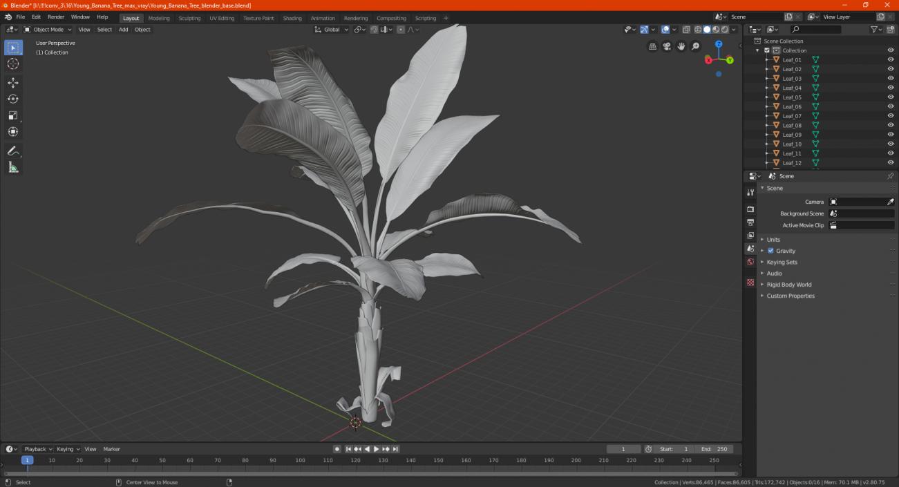 Young Banana Tree 3D