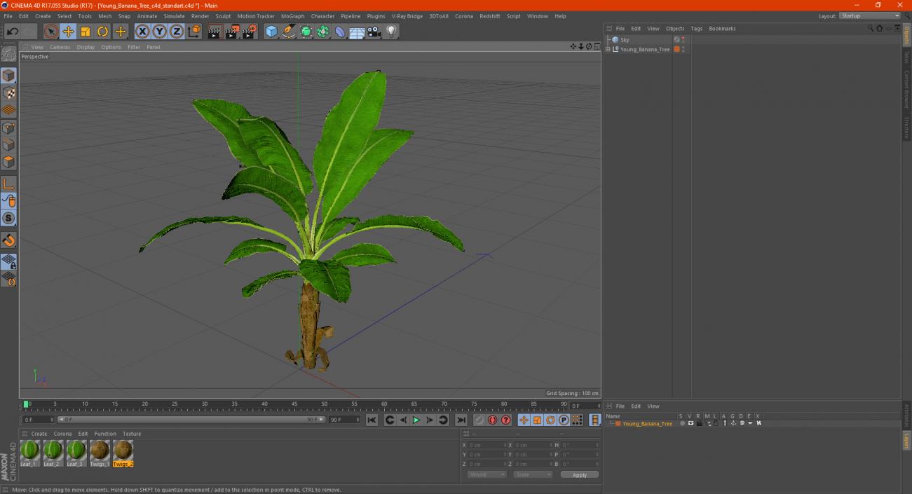 Young Banana Tree 3D