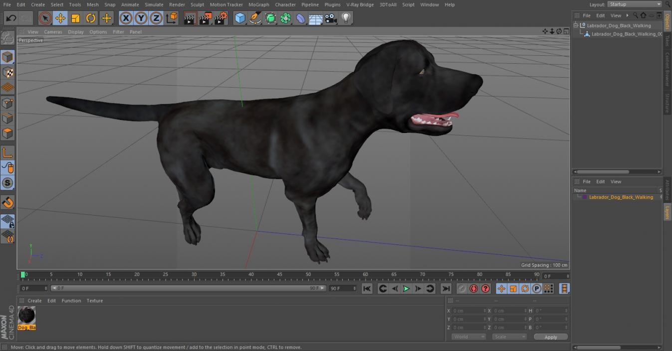 3D Labrador Dog Black Walking